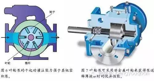 1613786928967071.jpg 5.jpg